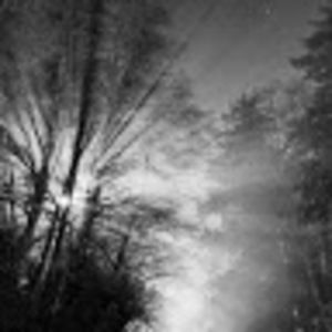 Meet your Posher, Martin